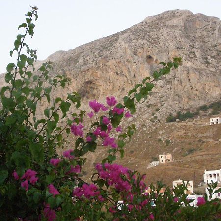 Studios Aeolos Kalymnos Myrties Exterior photo
