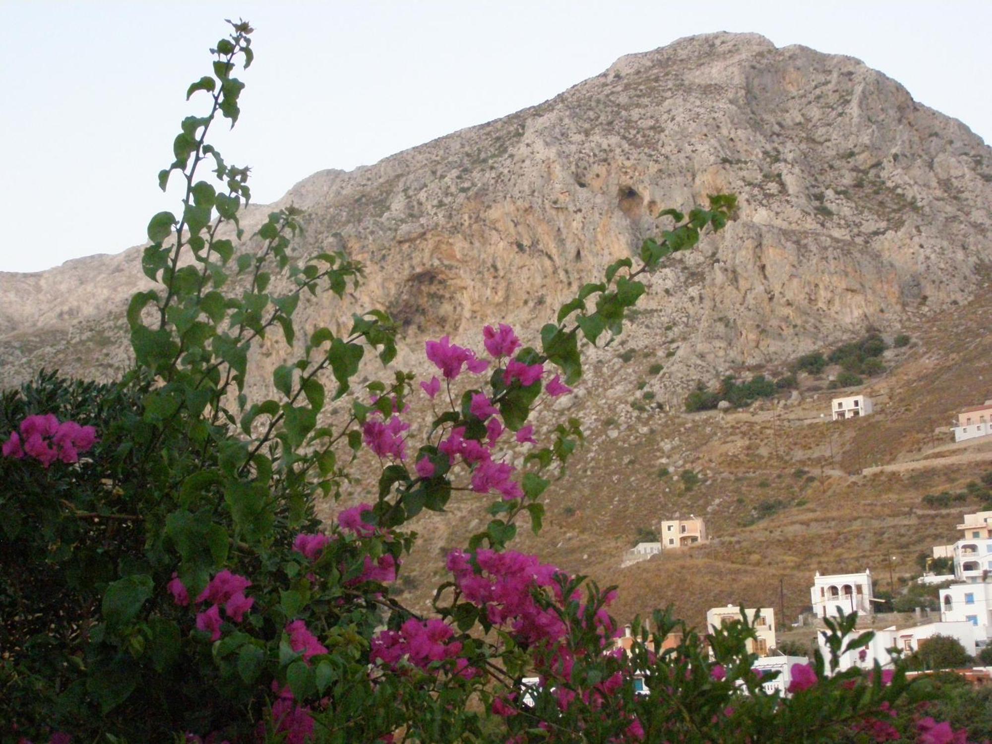 Studios Aeolos Kalymnos Myrties Exterior photo