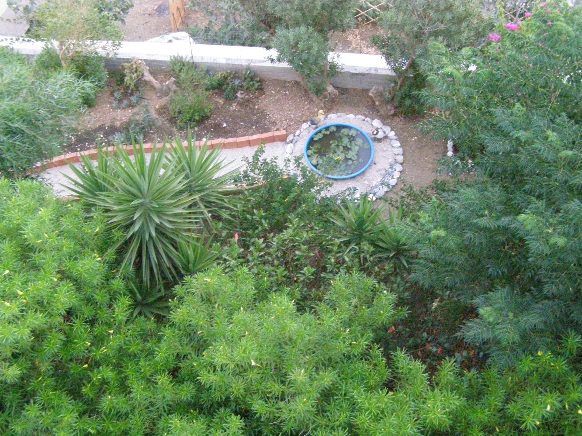 Studios Aeolos Kalymnos Myrties Exterior photo